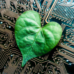 A leaf shaped like a heart — personal symbol